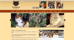 Desktop Screenshot of catlove.fr