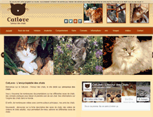 Tablet Screenshot of catlove.fr